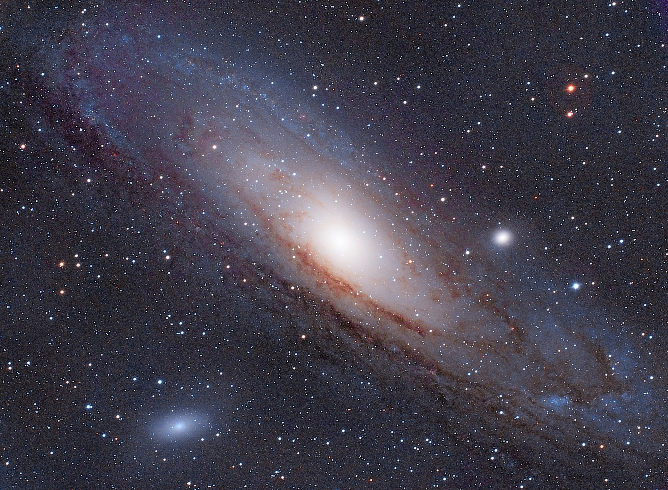 M31